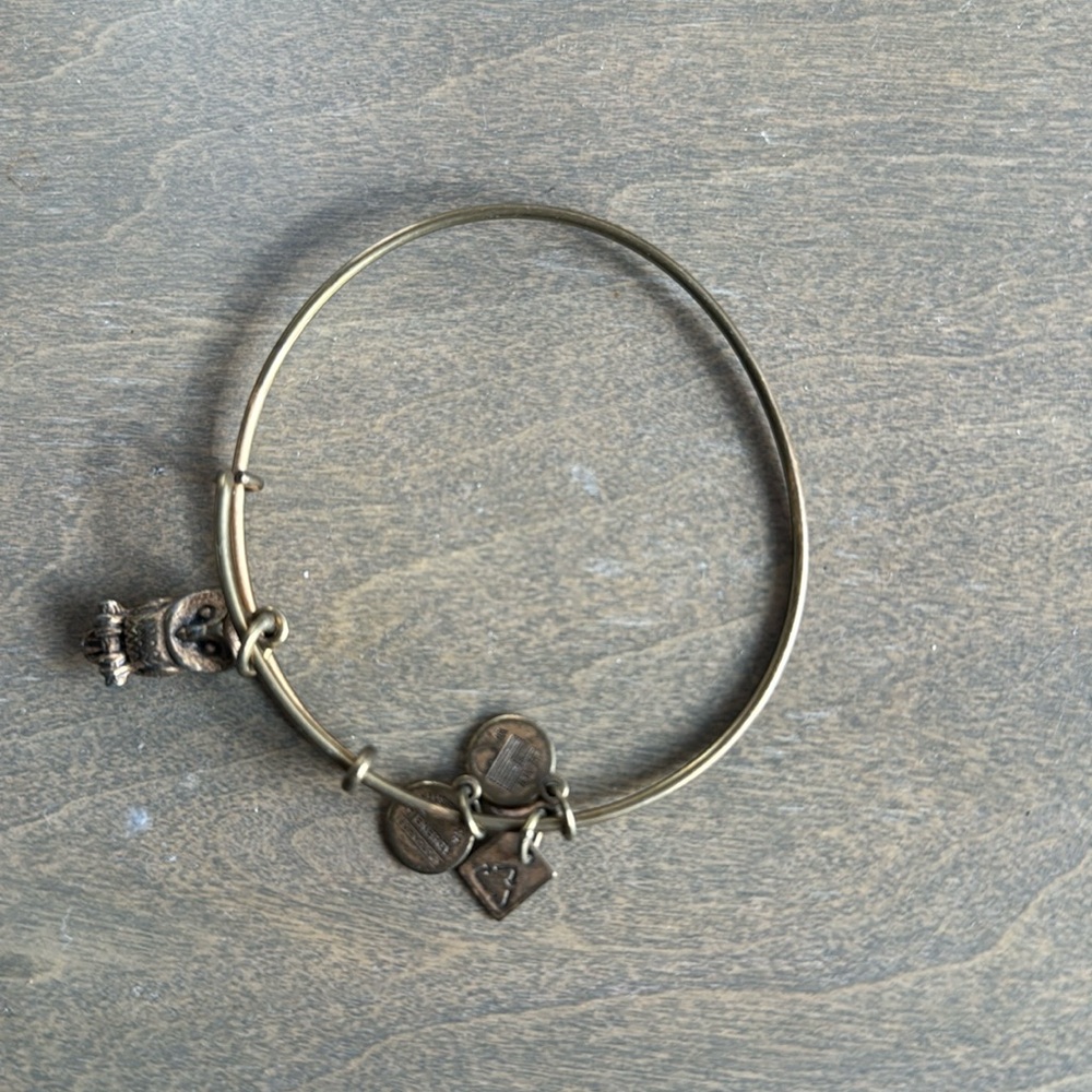 Alex and ani owl bracelet